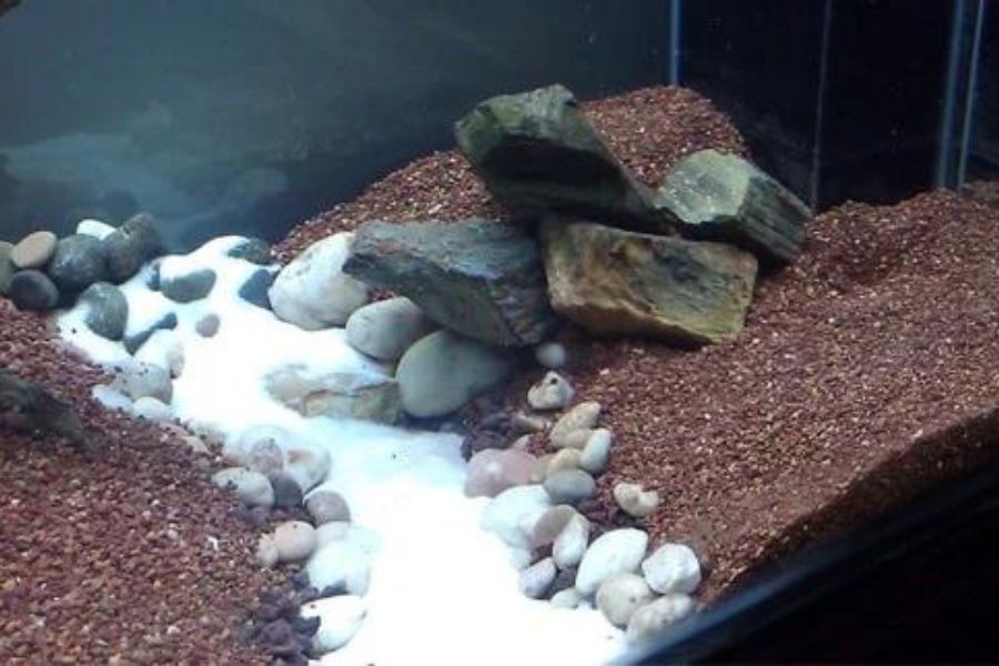 Phân nền là yếu tố then chốt cho sự phát triển của cây thủy sinh.