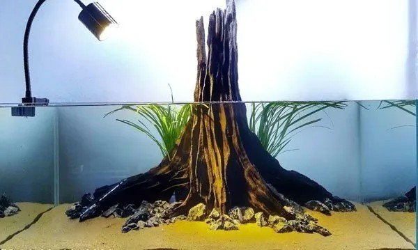 Các phụ kiện đi kèm hồ thủy sinh nhất trụ đơn giản