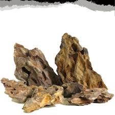 Vẻ đẹp độc đáo của đá Tiger trong bể thủy sinh