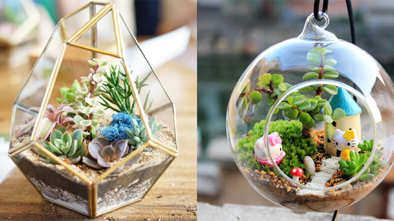 Terrarium mở