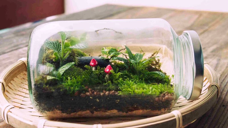 Terrarium kín
