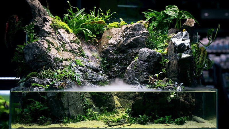 Paludarium