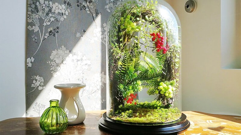 Forestterrarium