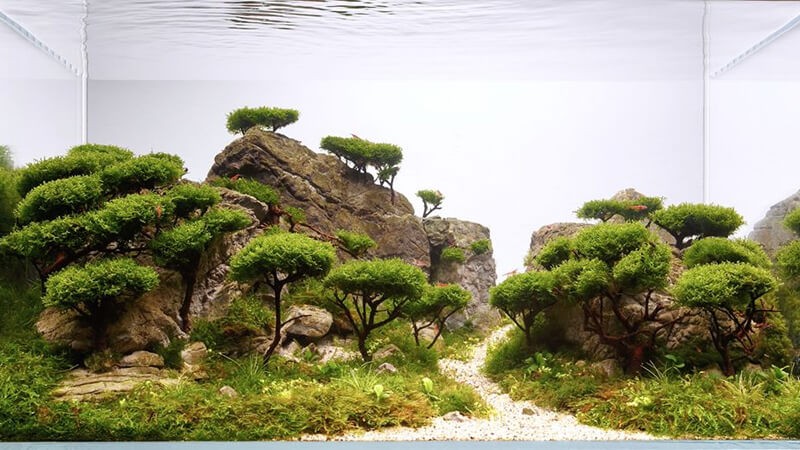 Savannaterrarium dưới nước