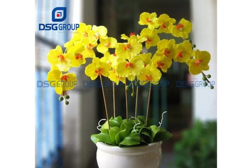 Cây lan hồ điệp phong thủy mang lại tài lộc may mắn cho người tuổi tỵ