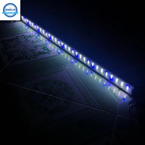 Cận cảnh một hồ thủy sinh với cây cối tươi tốt và nước trong xanh