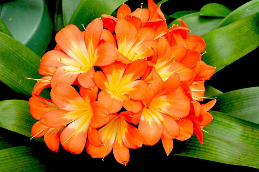 1748210488picture2 1