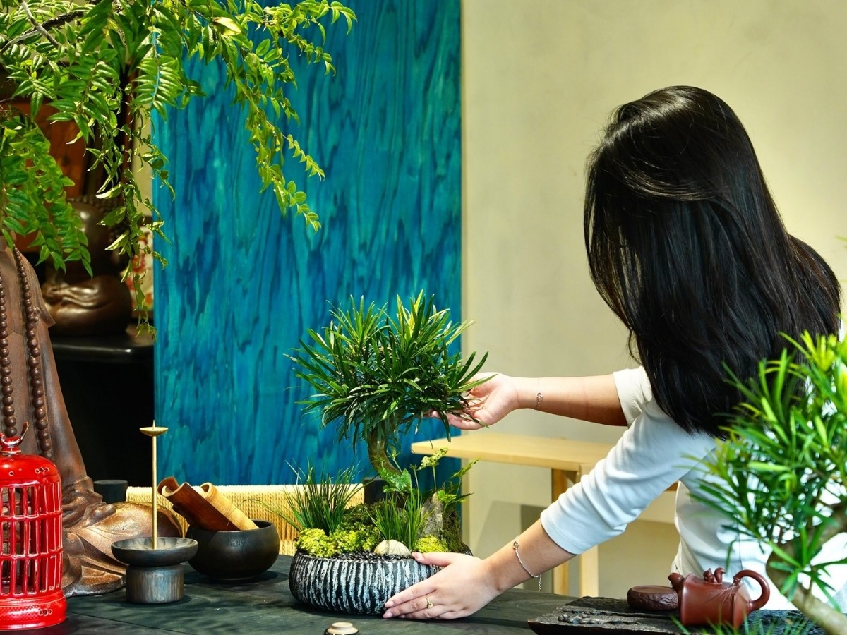 Cây xanh nhỏ đặt trên bàn làm việc mang lại không khí trong lành