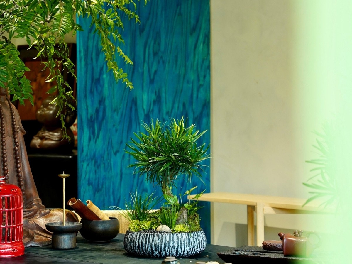 Cây phong thủy mệnh Mộc trên bàn làm việc giúp kích hoạt tài lộc và cơ hội thăng tiến