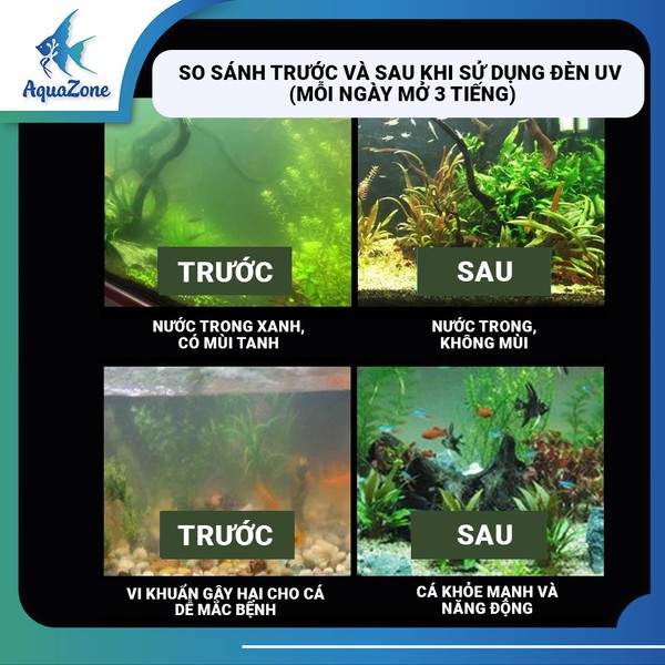 Đèn UV cải thiện chất lượng nước hiệu quả