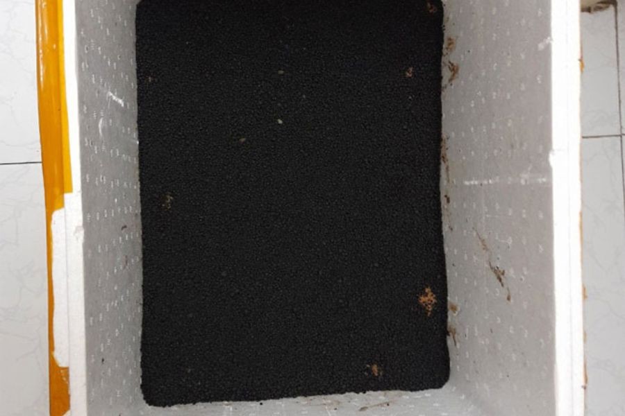 Cho đất vào thùng xốp