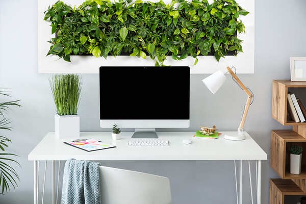 Cây để bàn làm việc hợp mệnh thổ