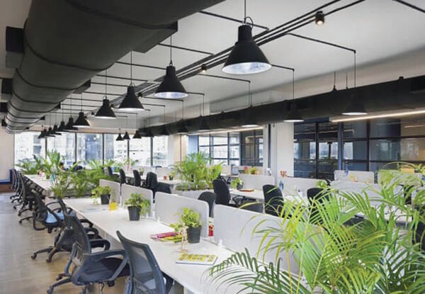 Cây để bàn làm việc hút bức xạ máy tính