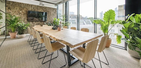 Cây để bàn làm việc