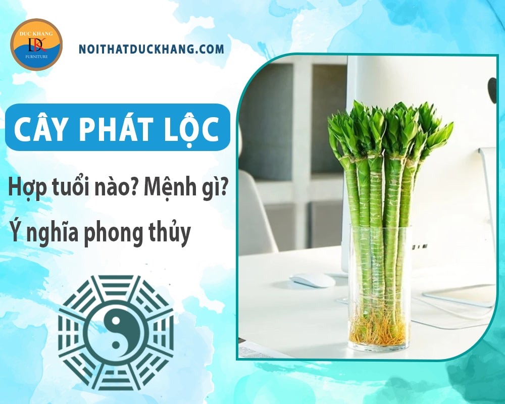 Cây phát lộc với 5 cành tượng trưng cho ngũ hành