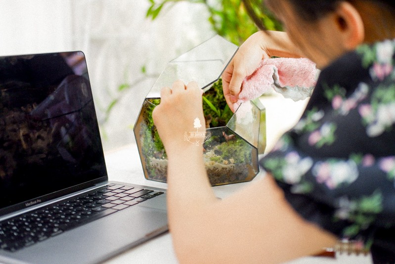 Người dùng đang dùng bình xịt phun sương để tưới cho terrarium