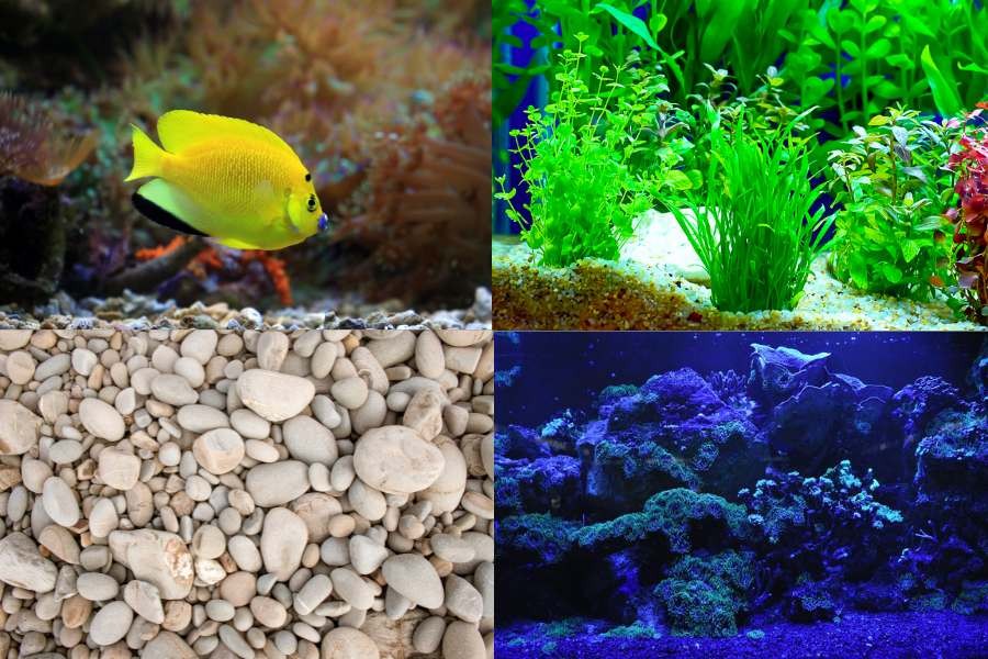 Làm làm bể cá cần chuẩn bị nhiều nguyên liệu