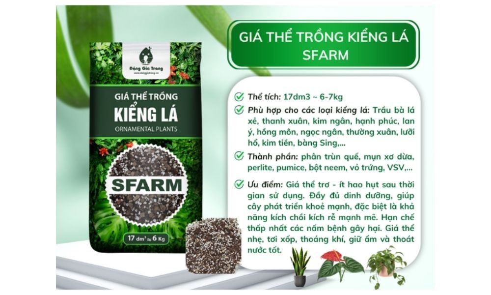 Sản phẩm giá thể kiểng lá của SFARM