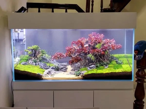 Giá hồ thủy sinh 1m2 bằng kính siêu trong