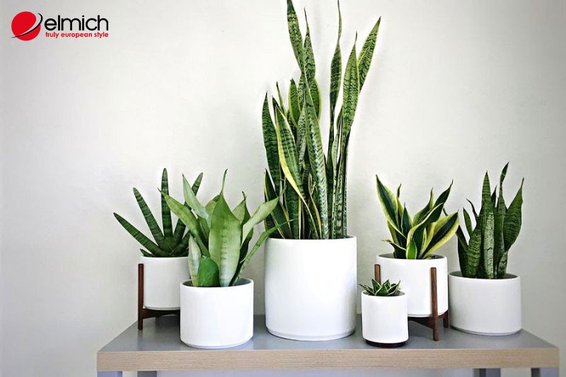 hinh 1 hinh trong bai 4 1