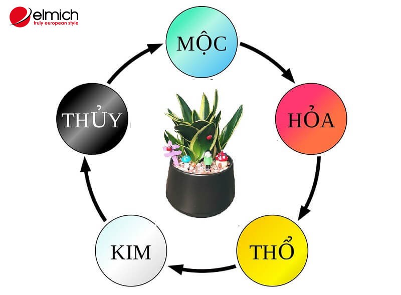 Hình 2: Nhiều người thắc mắc cây lưỡi hổ hợp mệnh gì?