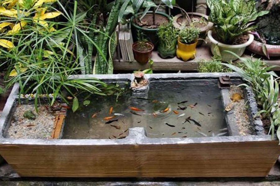 Kích thước hồ còn hạn chế