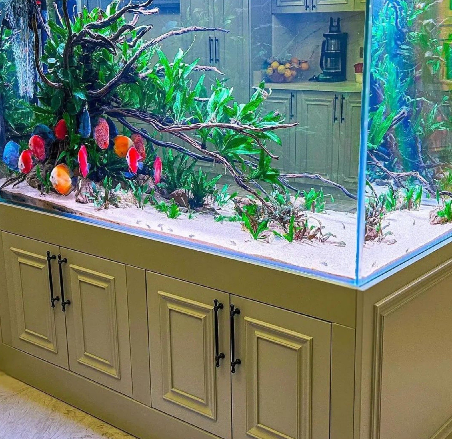 Kiến tạo cảnh quan thiên nhiên với hồ Natural