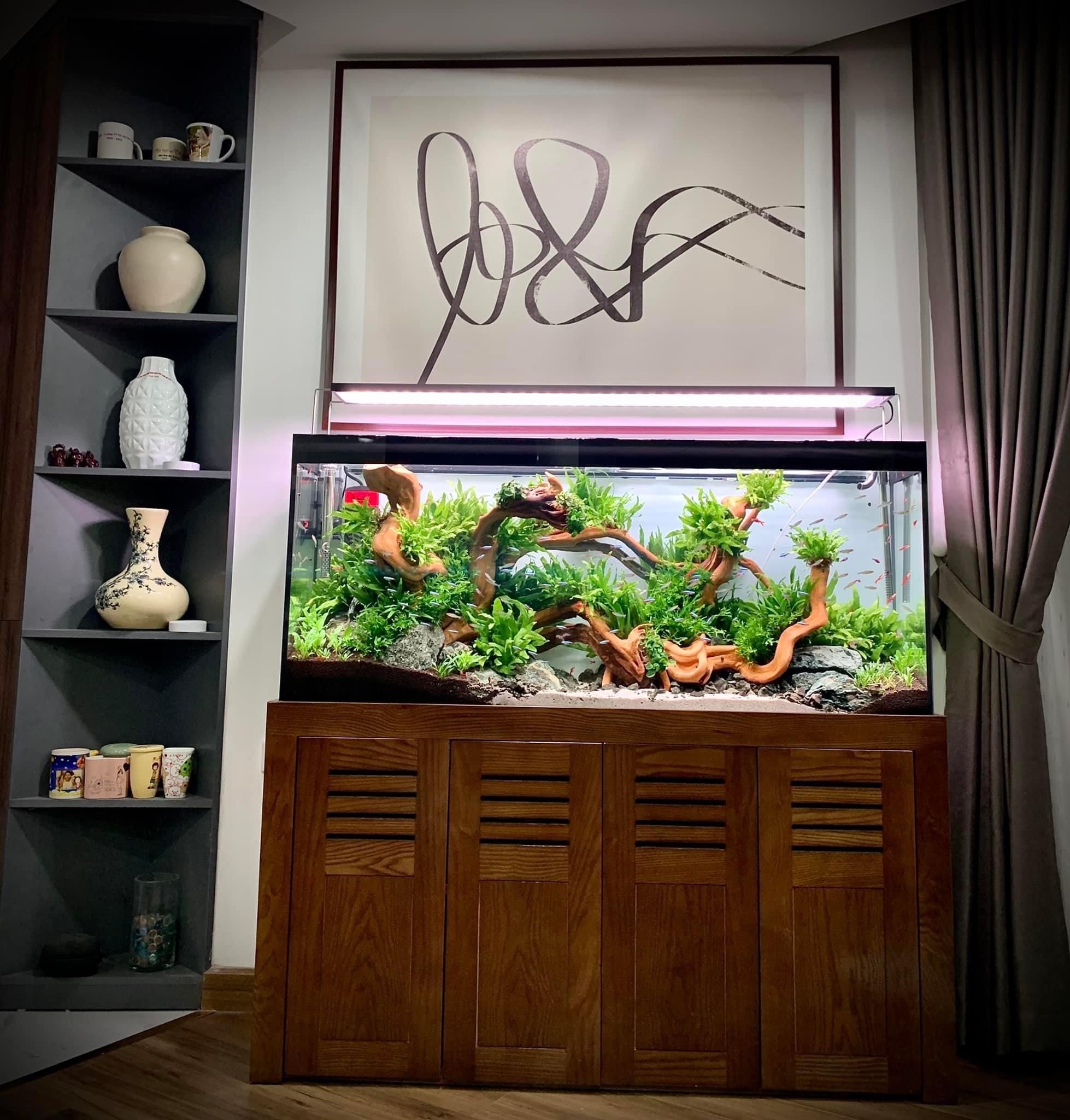 Mẫu hồ Natural với cảnh quan sống động