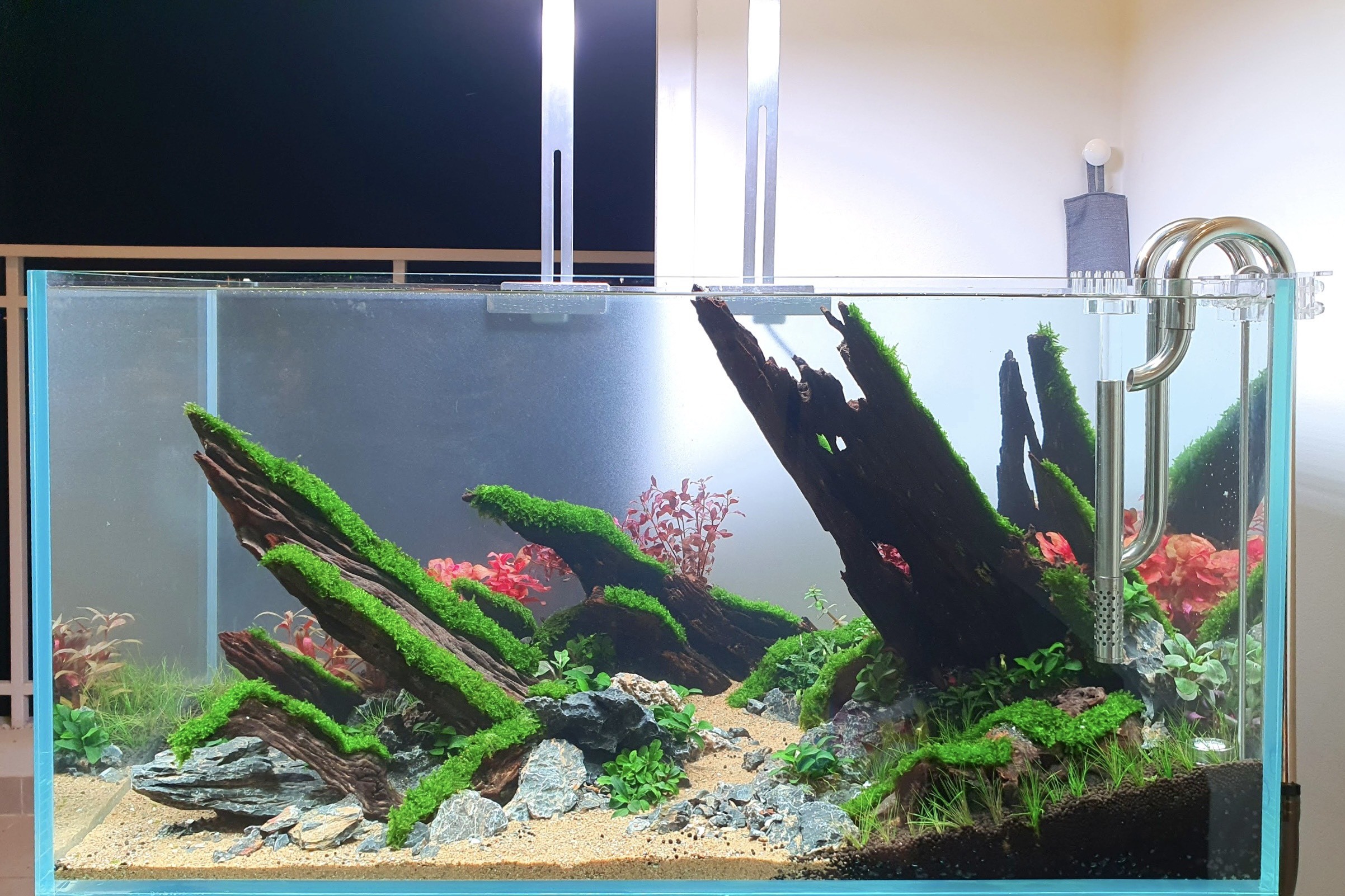 Hồ thủy sinh Natural với sự kết hợp hài hòa giữa cây và lũa