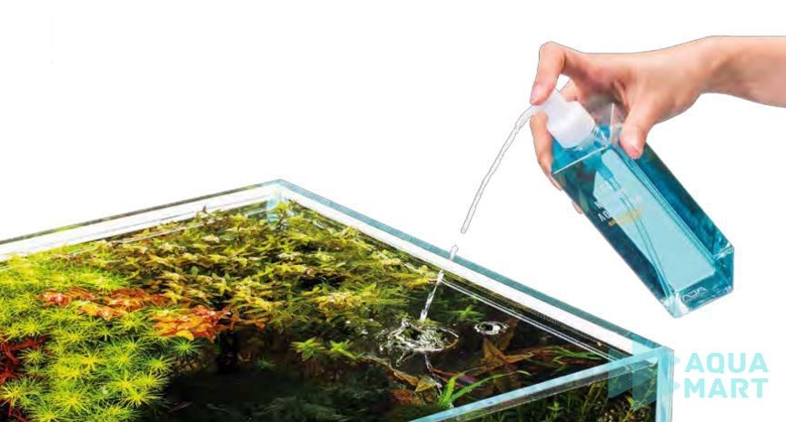 Hạn chế bón phân cho bể thủy sinh mới để tránh tình trạng thừa dinh dưỡng