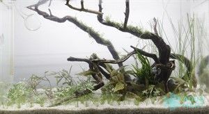 Thường xuyên kiểm tra các thiết bị bể thủy sinh để đảm bảo hoạt động ổn định