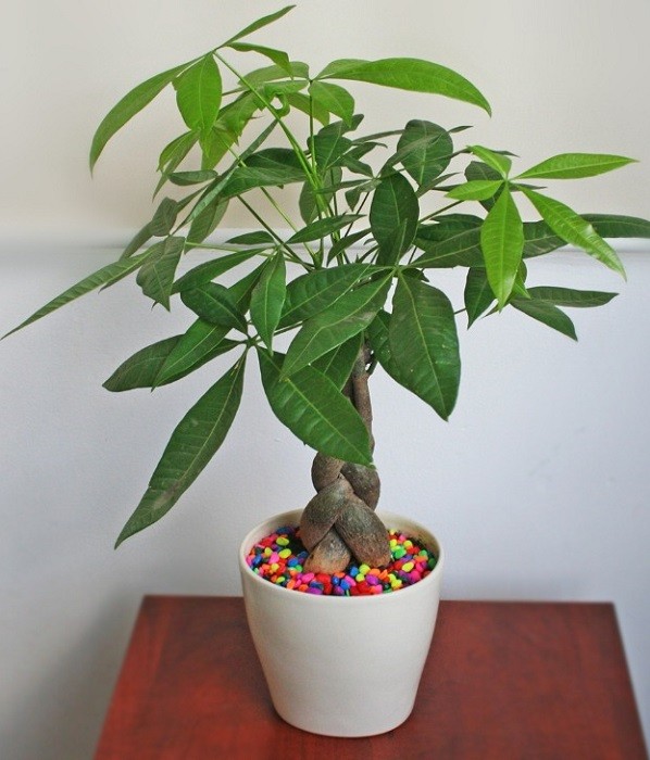 image 20221201150027 1