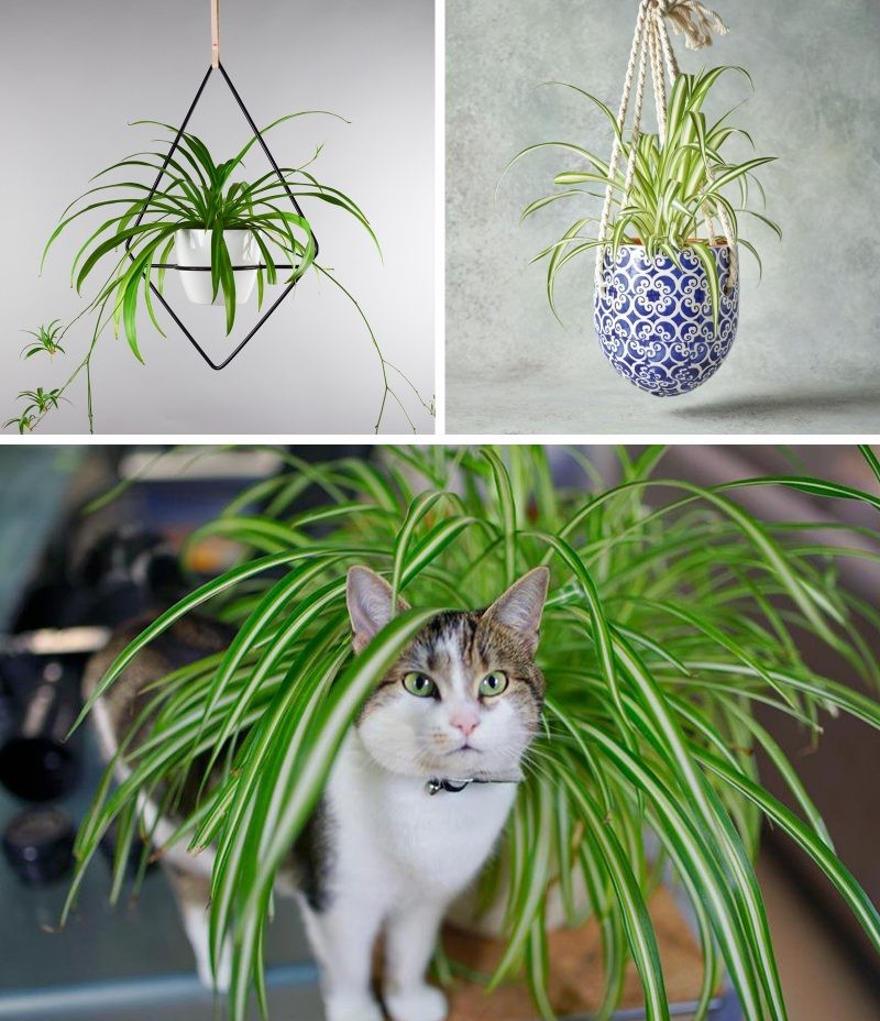 image 20221201150028 2