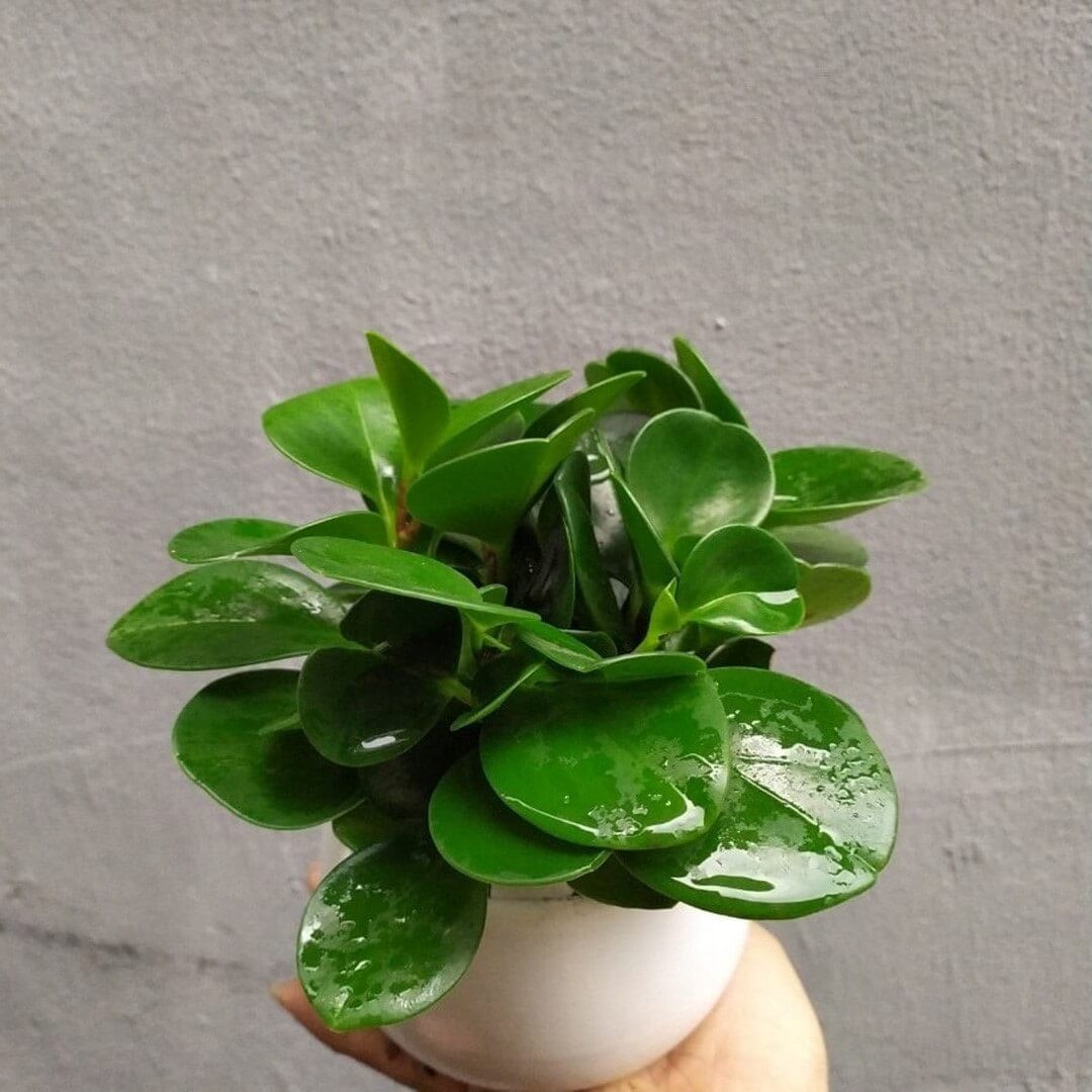 image 20221201150029 6