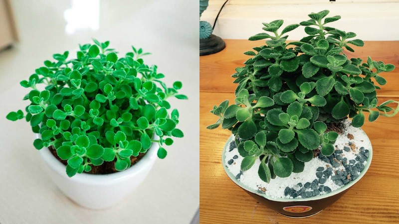 image 20221201151652 1 1