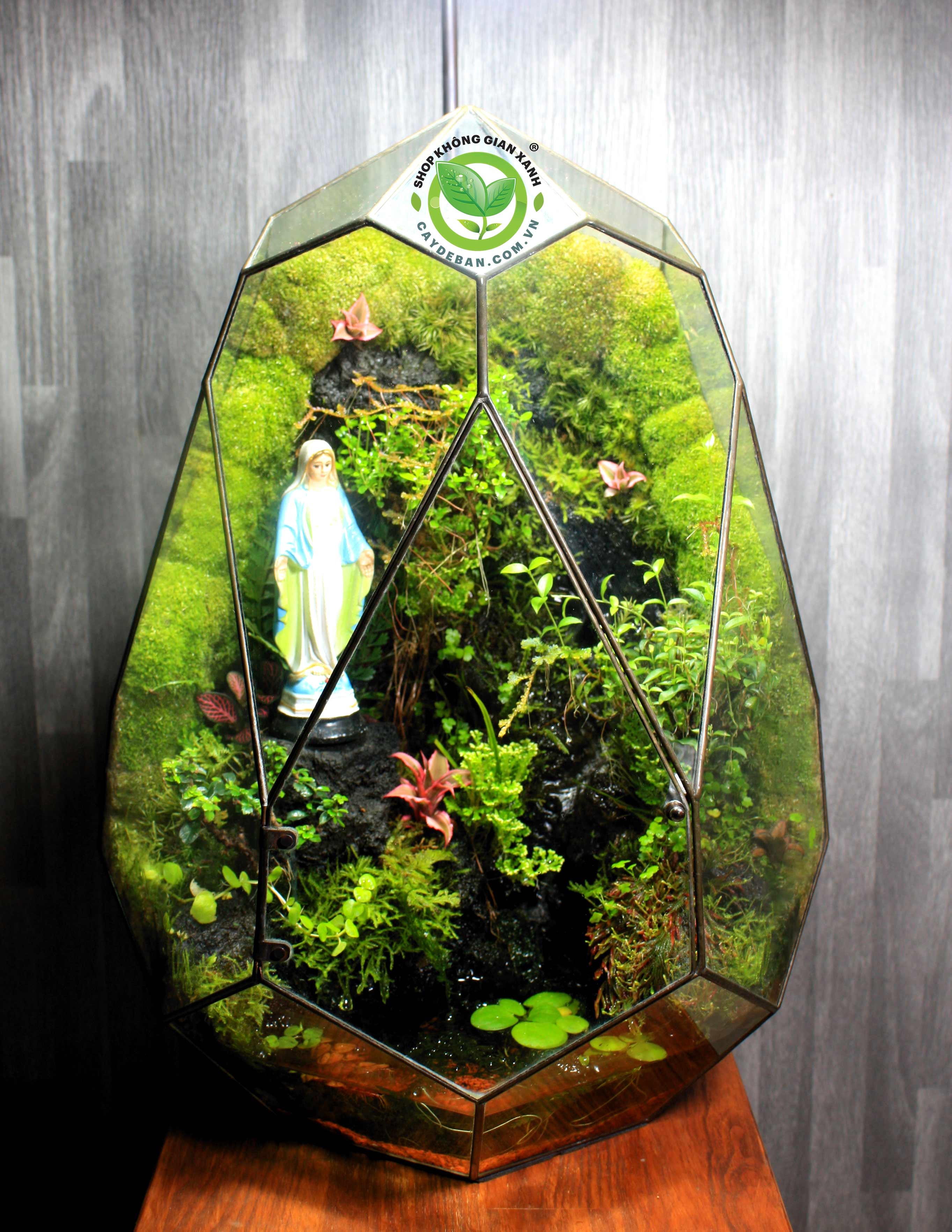 Paludarium PHOENIC EGG/Trứng Phụng Hoàng 3