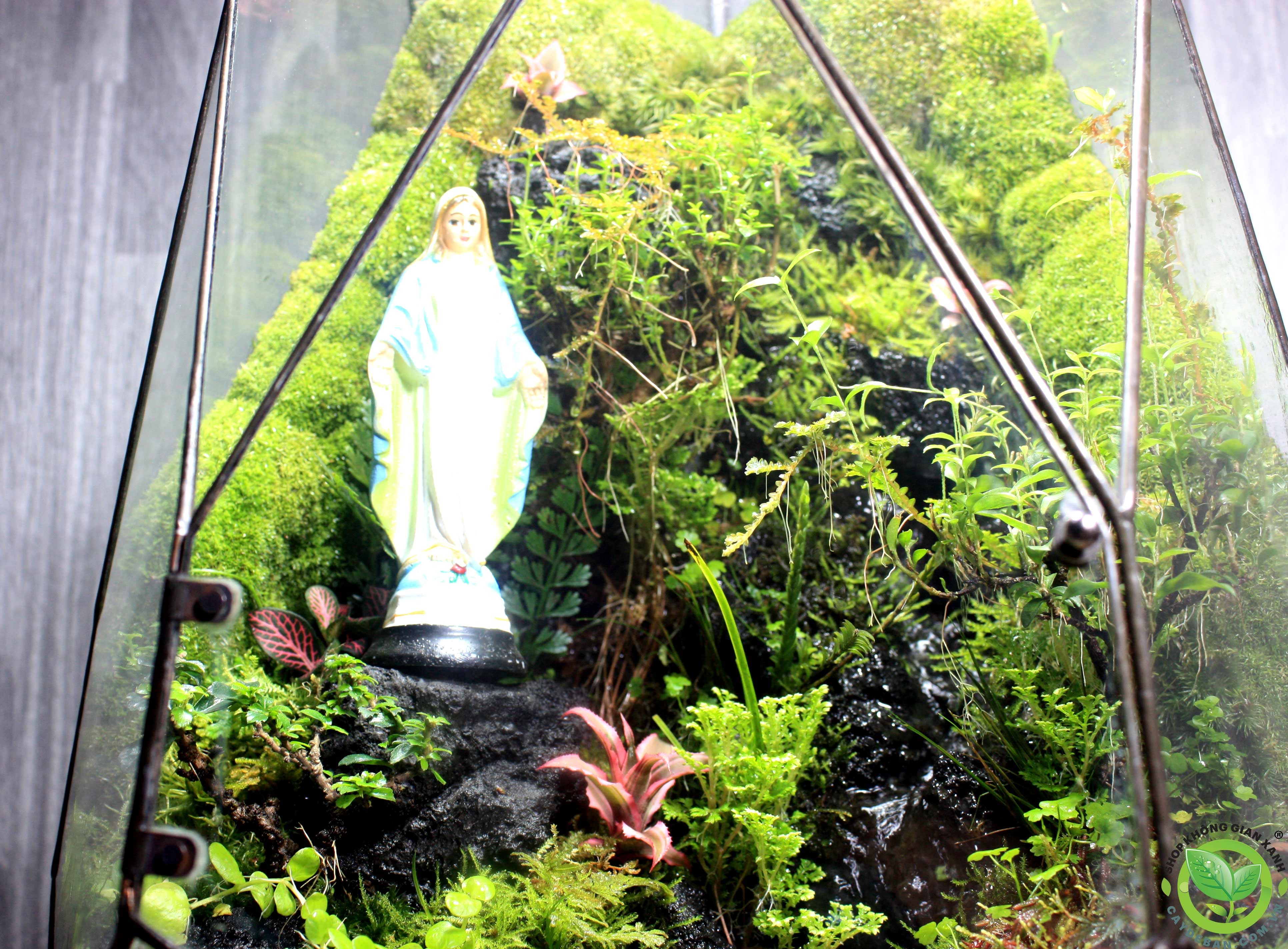 Paludarium PHOENIC EGG/Trứng Phụng Hoàng 5