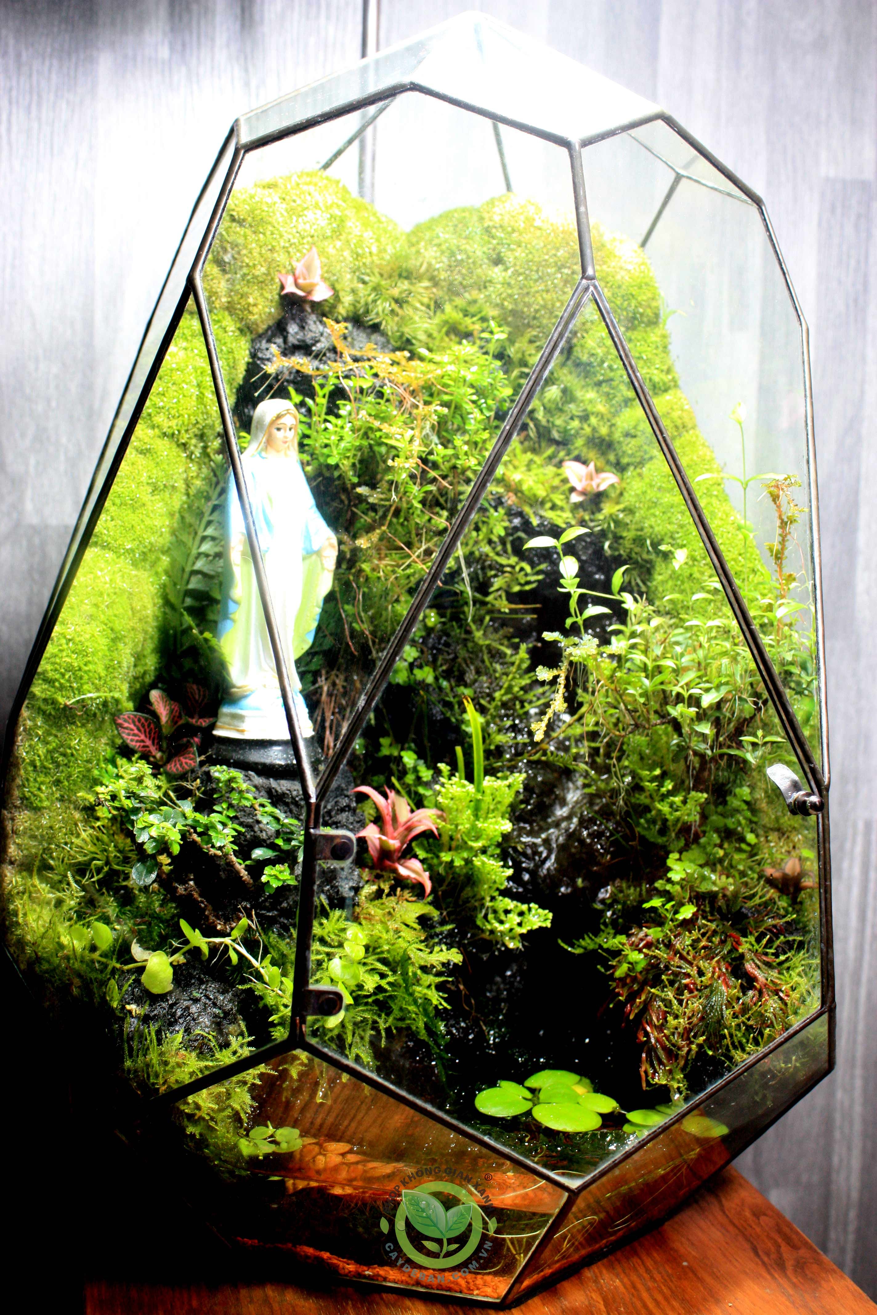 Paludarium PHOENIC EGG/Trứng Phụng Hoàng 4