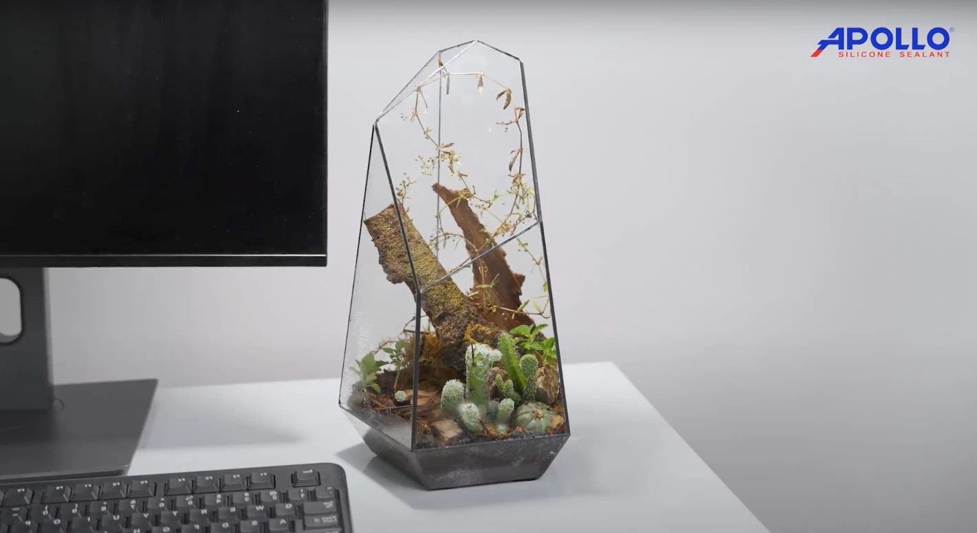 Hồ terrarium trang trí góc làm việc là một trong những ứng dụng tuyệt vời của Apollo Silicone A300