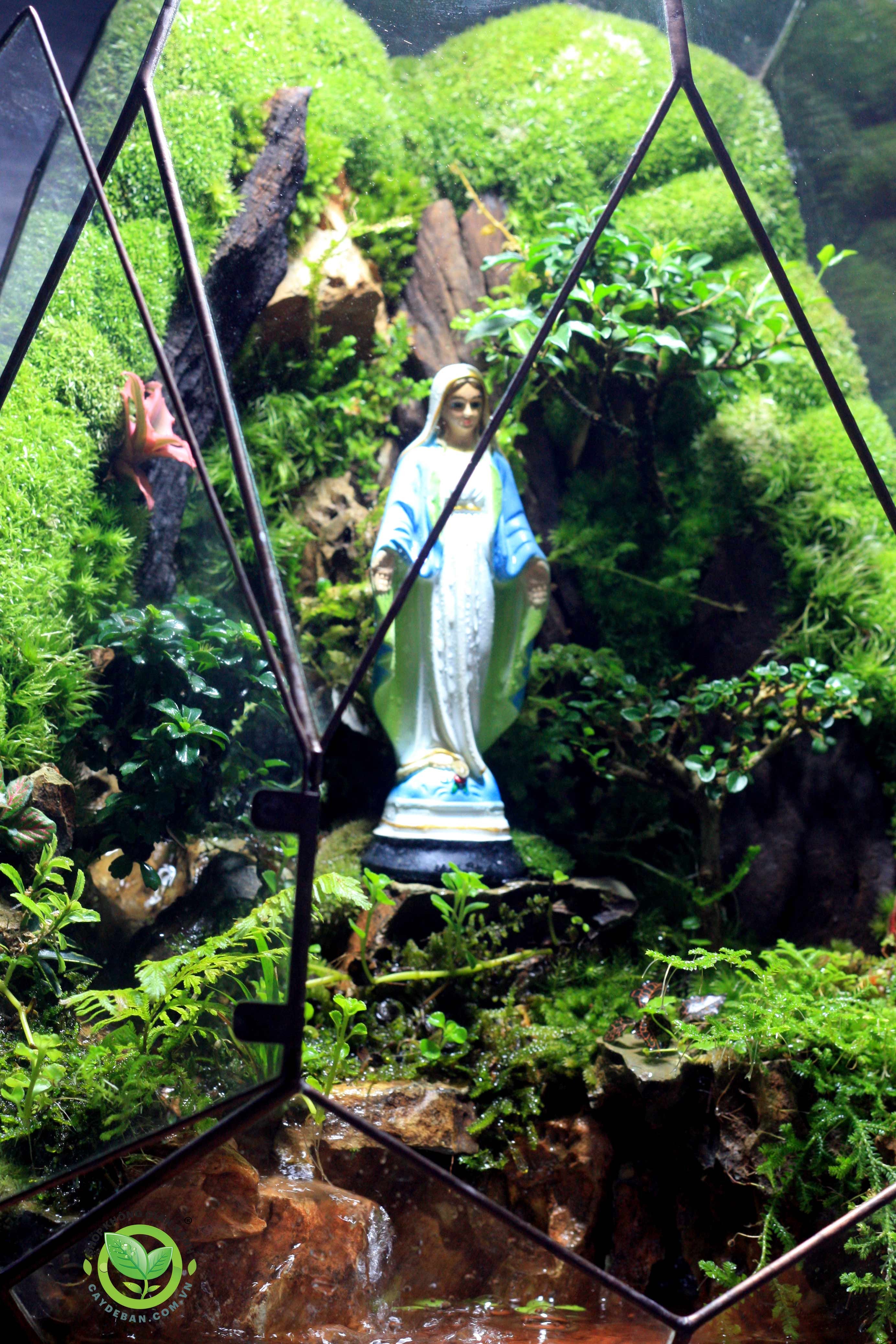 Paludarium PHOENIC EGG/Trứng Phụng Hoàng 1