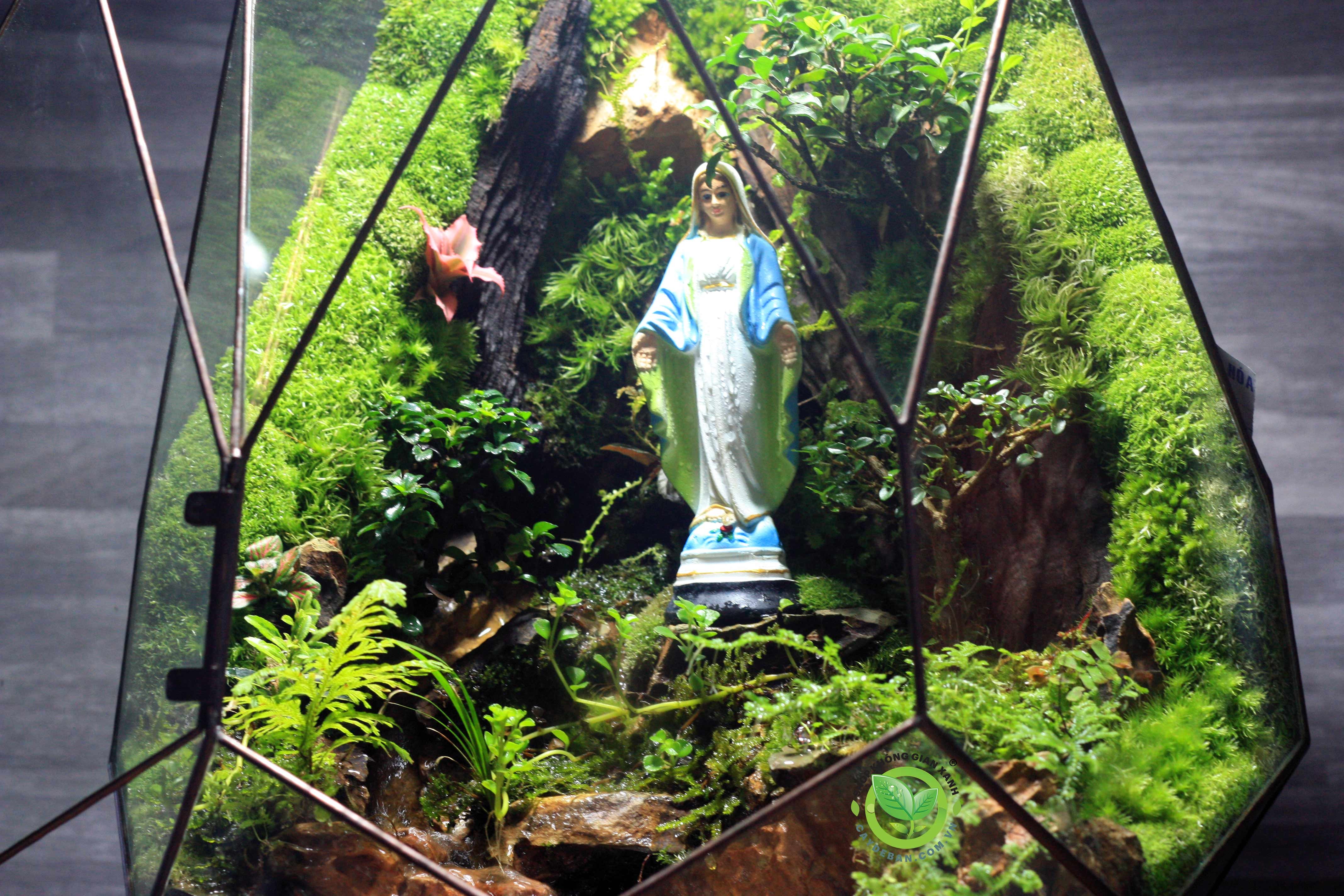 Paludarium PHOENIC EGG/Trứng Phụng Hoàng 2