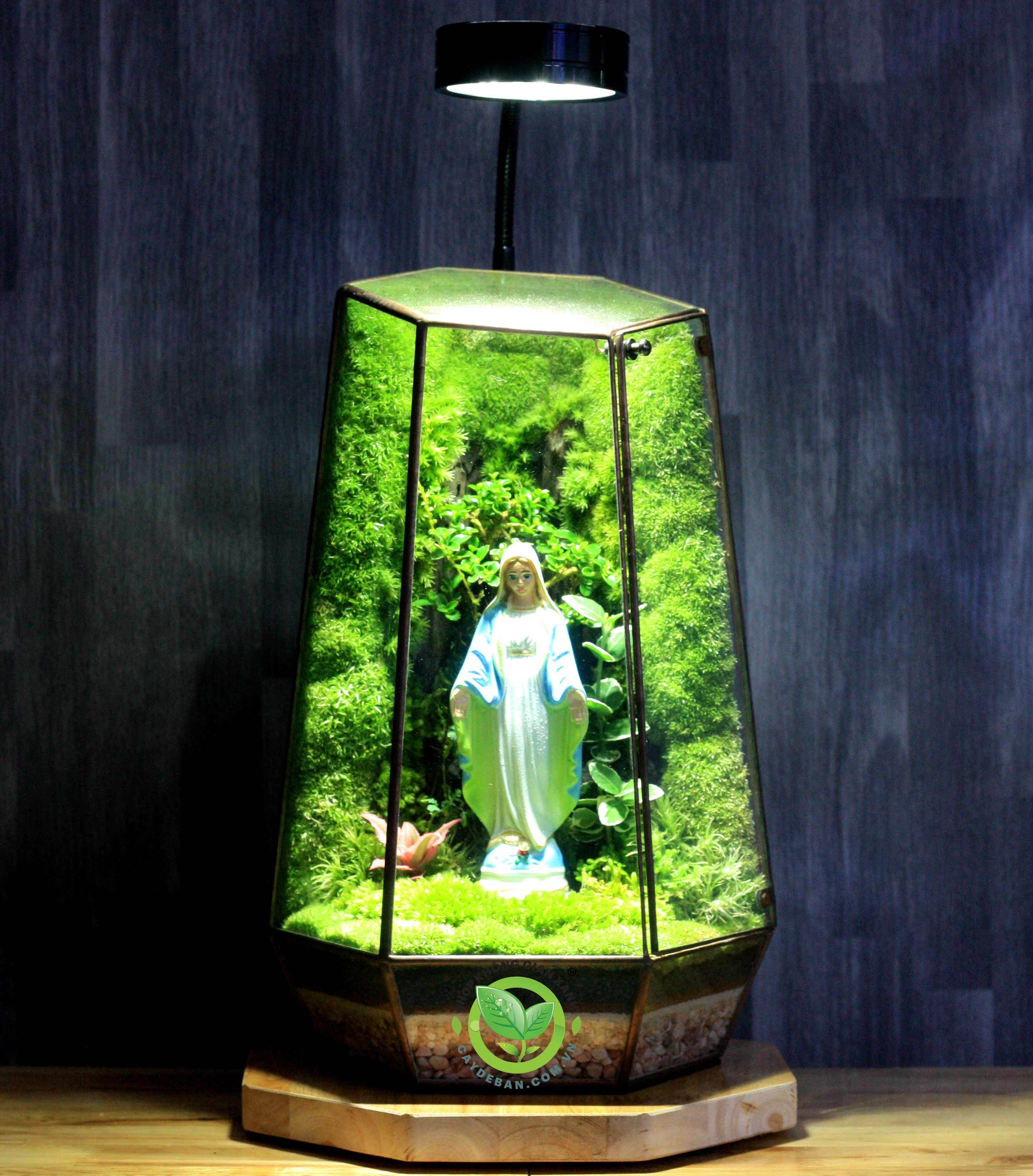 Mẫu terrarium đa giác kim loại Mountain 01