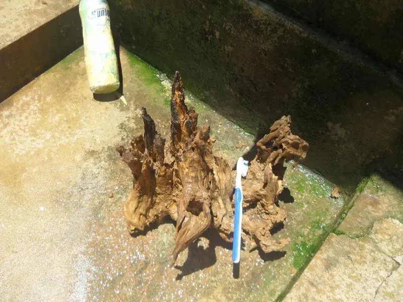 Sản phẩm gỗ lũa hoàn chỉnh với những đường nét tự nhiên