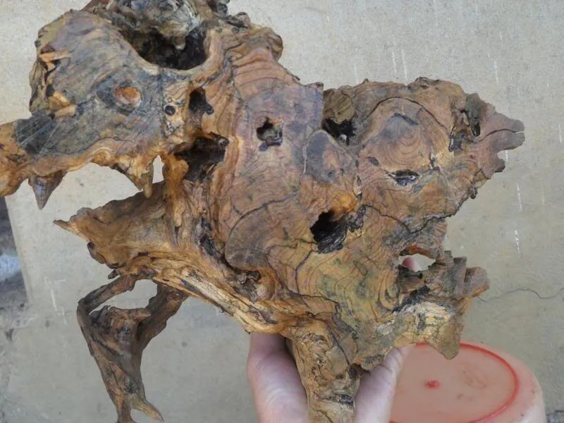 Các góc nhìn khác của tác phẩm gỗ lũa