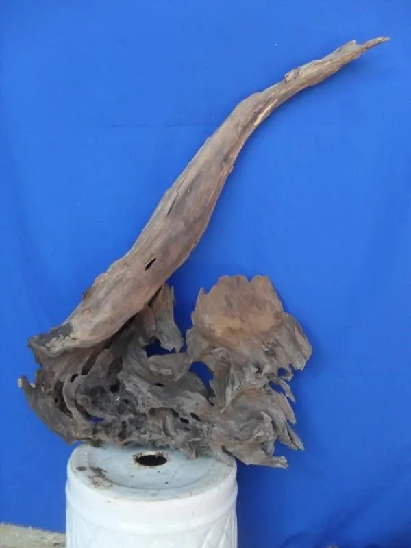 Các góc nhìn chi tiết về tác phẩm gỗ lũa