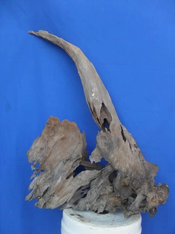 Cận cảnh vẻ đẹp tự nhiên của gỗ lũa