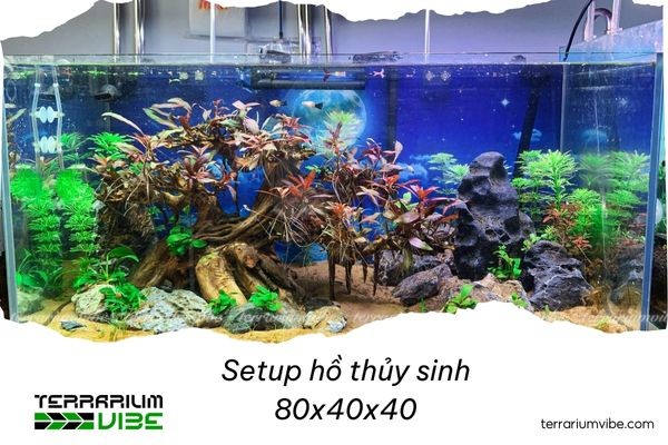Phong cách Paludarium (Kết hợp cạn và nước)