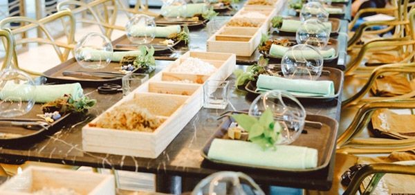 Terrarium workshop tự tay thiết kế khu vườn thu nhỏ của riêng bạn