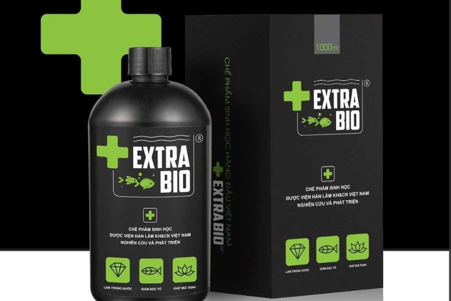 Sử dụng chai vi sinh để cân bằng hệ sinh thái trong hồ