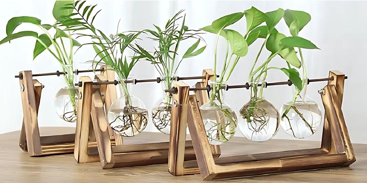 Trồng cây không dùng đất mang lại sự nhỏ gọn, tối giản